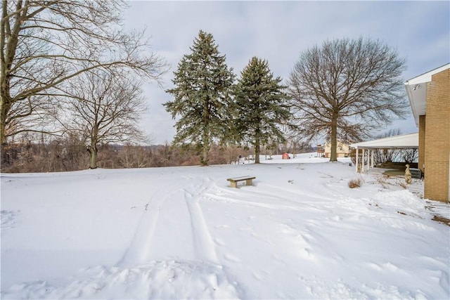 view of yard covered in snow