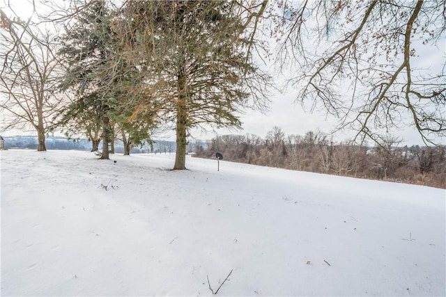 view of snowy yard