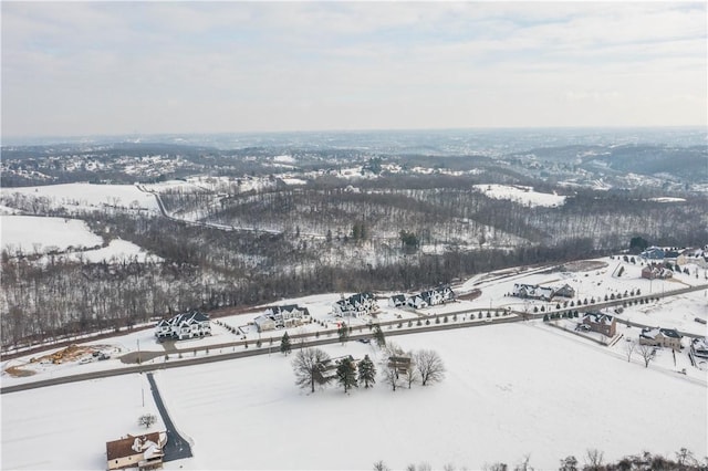 view of snowy aerial view