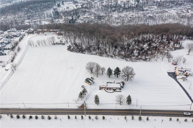 view of snowy aerial view