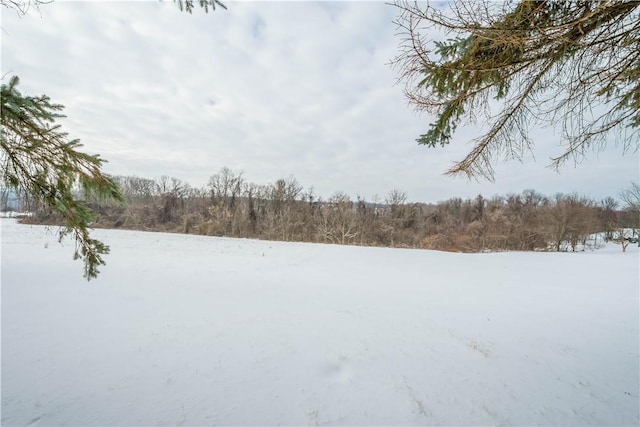 view of yard layered in snow