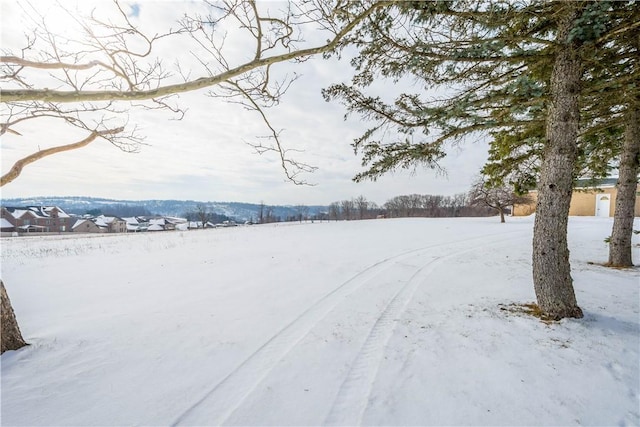 view of yard layered in snow