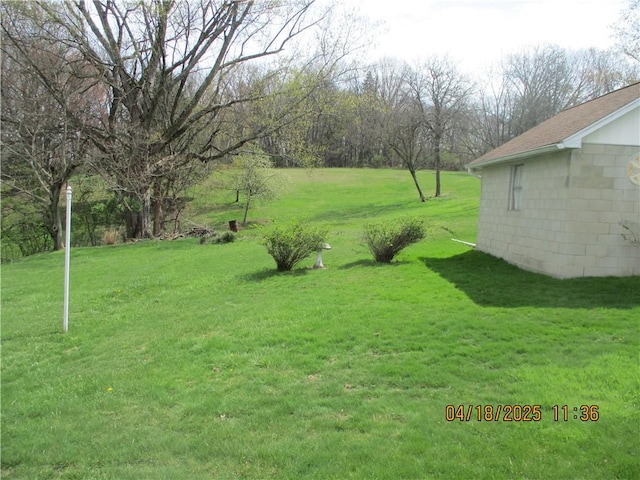 view of yard
