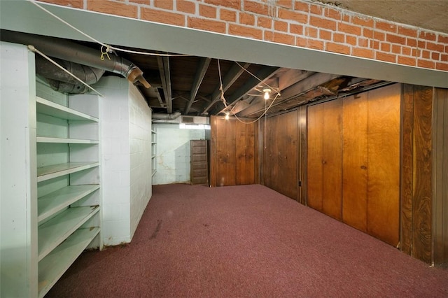 basement featuring carpet