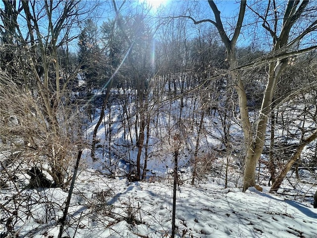 view of snowy view