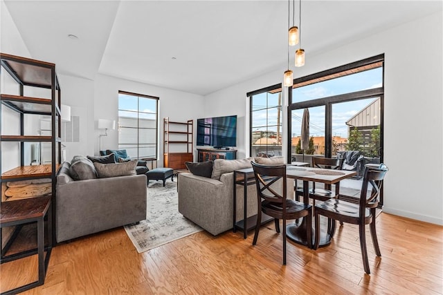 living room featuring a healthy amount of sunlight and light hardwood / wood-style floors