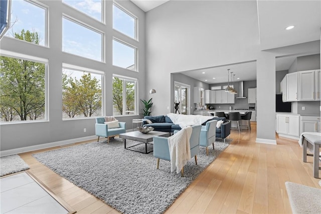 living room with a high ceiling and light hardwood / wood-style floors