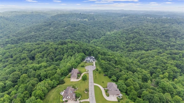 80 Charleston Sq, Bell Acres, PA 15143 - aerial view of a forest