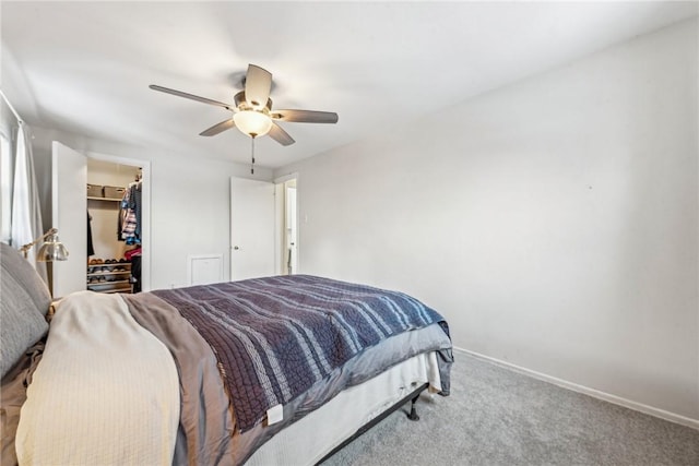 bedroom featuring ceiling fan, a spacious closet, carpet floors, and a closet