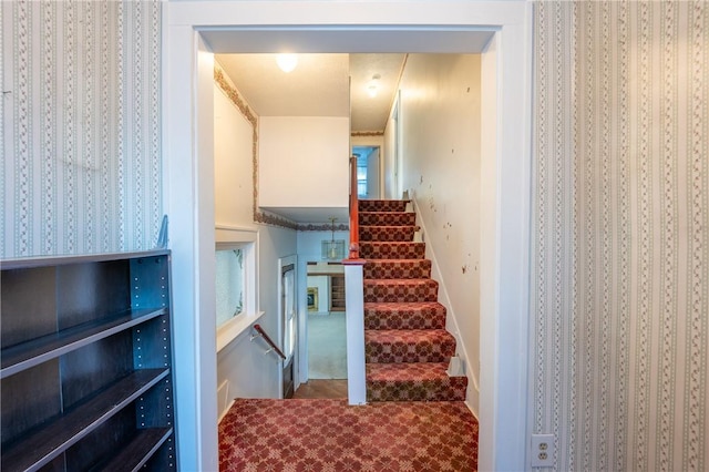 staircase featuring carpet