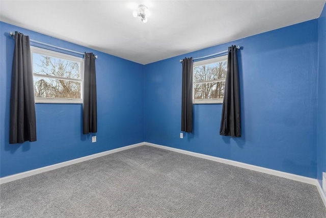 spare room with carpet and a wealth of natural light