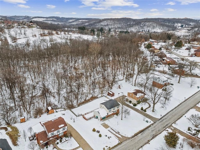 snowy aerial view featuring a mountain view