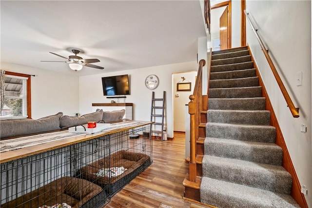 living room with hardwood / wood-style flooring and ceiling fan