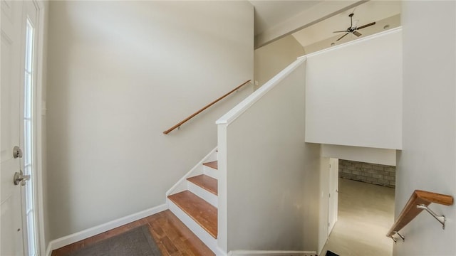 stairway with hardwood / wood-style floors and ceiling fan