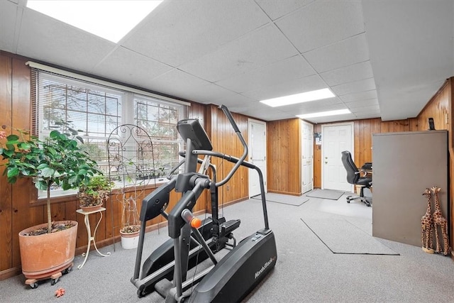 exercise room featuring a paneled ceiling, light carpet, and wood walls