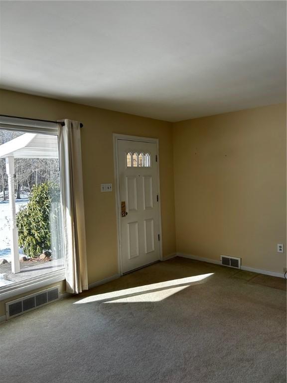 view of carpeted foyer entrance