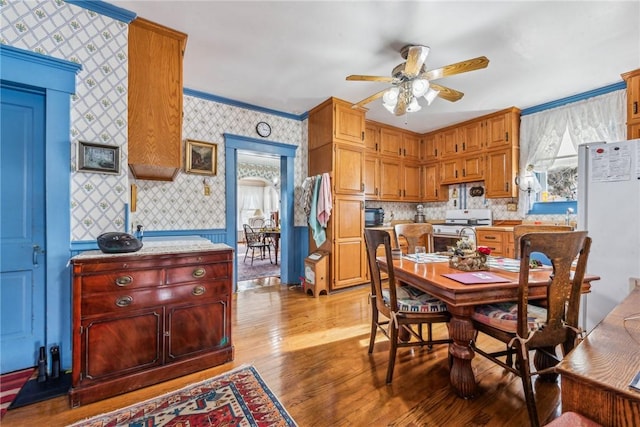 dining space featuring ornamental molding, light hardwood / wood-style floors, and ceiling fan