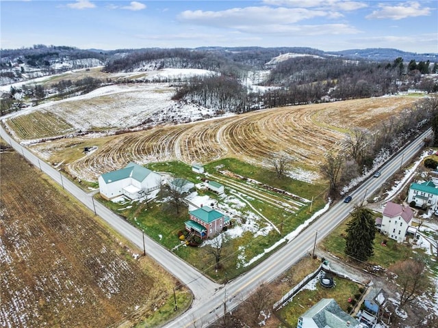 view of snowy aerial view