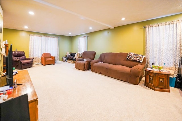 living room featuring light colored carpet