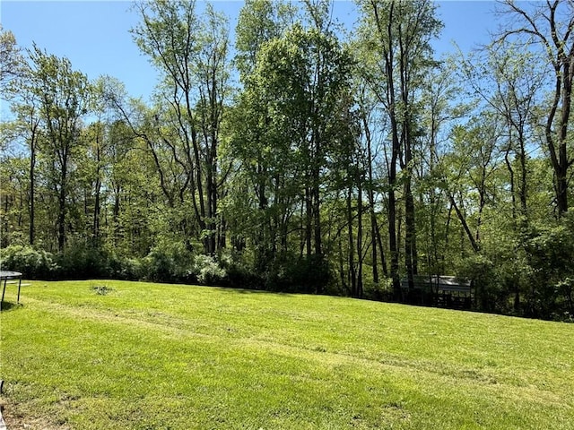 112 Butch Cir, Mahoning Twp Law, PA 16116 - photo 18