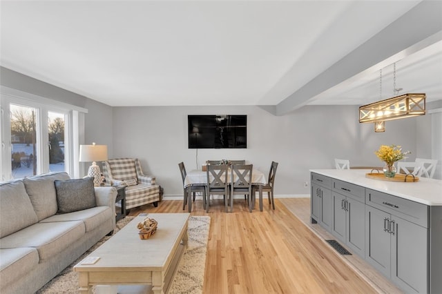 living room featuring light hardwood / wood-style flooring