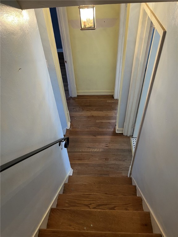 staircase with wood-type flooring