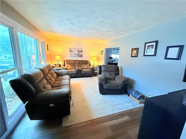 living room featuring hardwood / wood-style floors