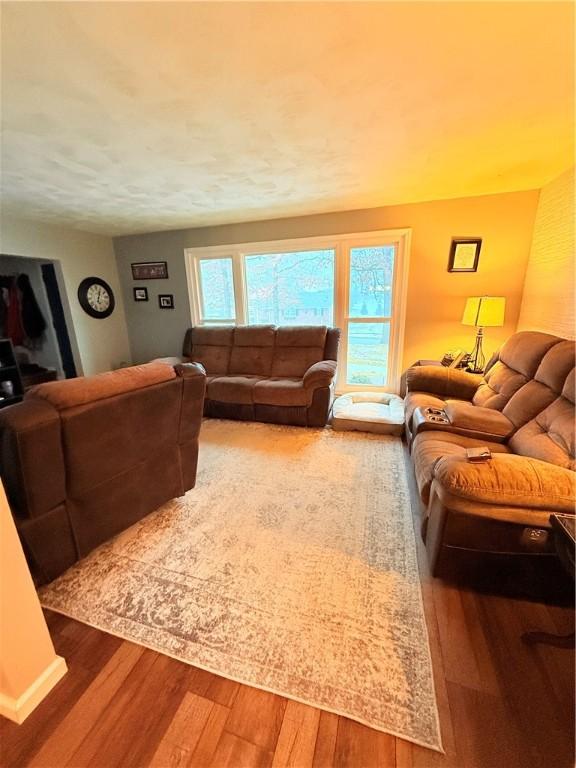 living room featuring hardwood / wood-style flooring