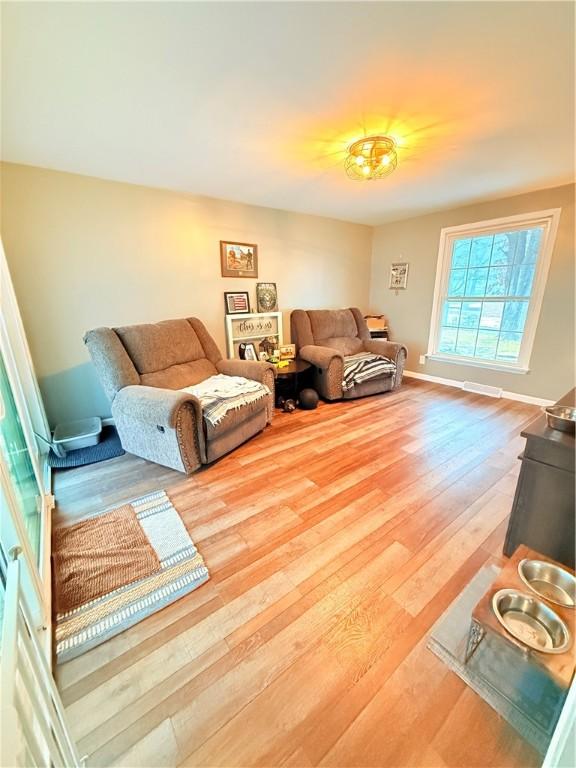 living room with wood-type flooring