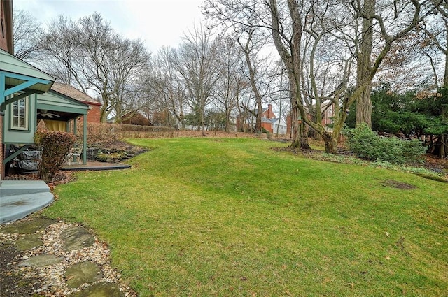 view of yard with ceiling fan