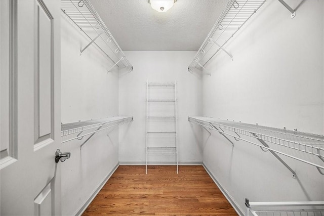 spacious closet with wood-type flooring