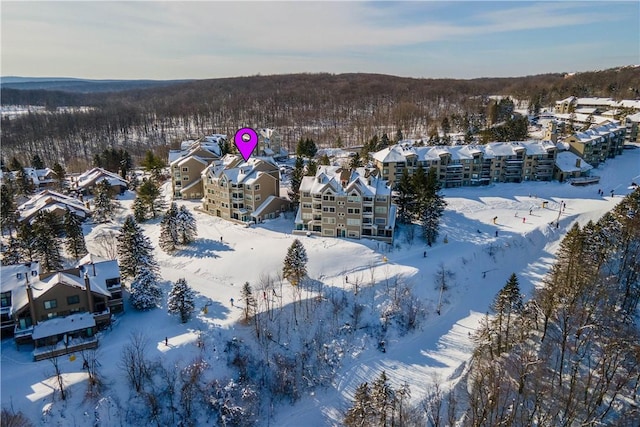 view of snowy aerial view