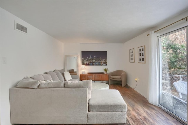 living room featuring wood-type flooring