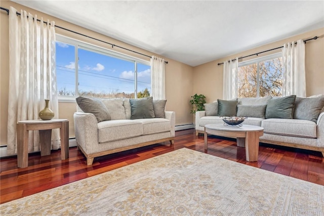 living room with dark hardwood / wood-style flooring, a wealth of natural light, and a baseboard radiator