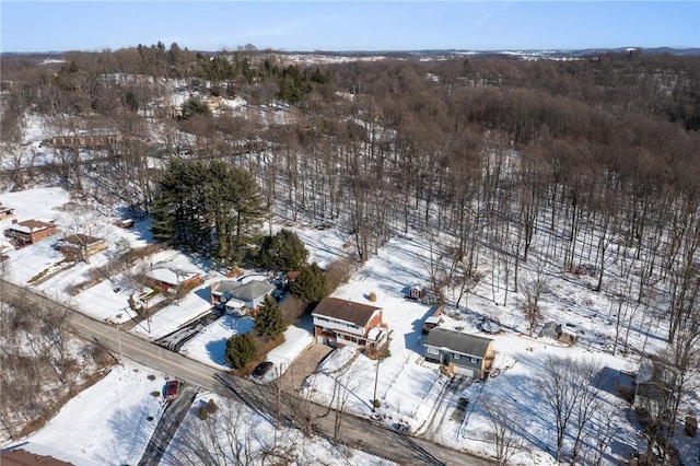 view of snowy aerial view