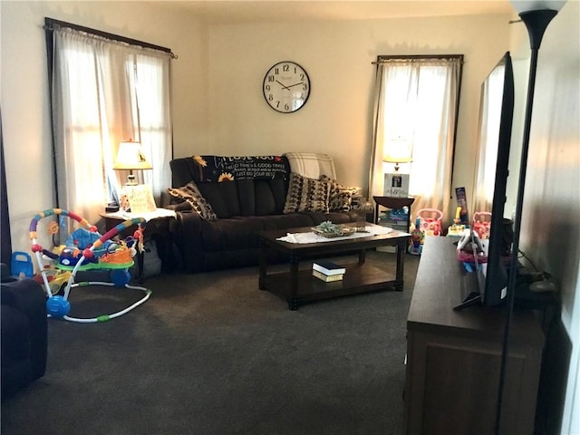 view of carpeted living room