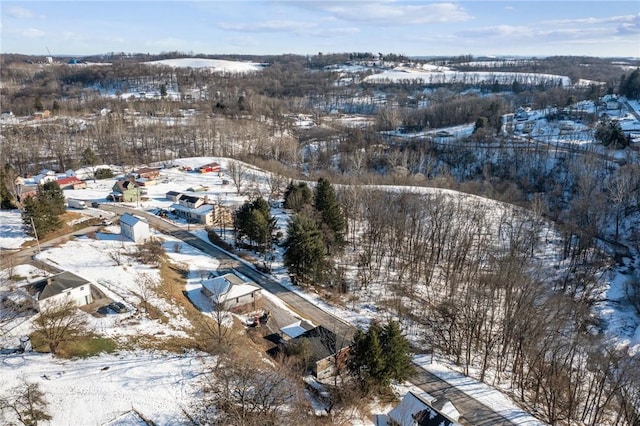 view of snowy aerial view