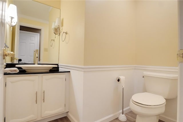 bathroom with vanity, hardwood / wood-style flooring, and toilet