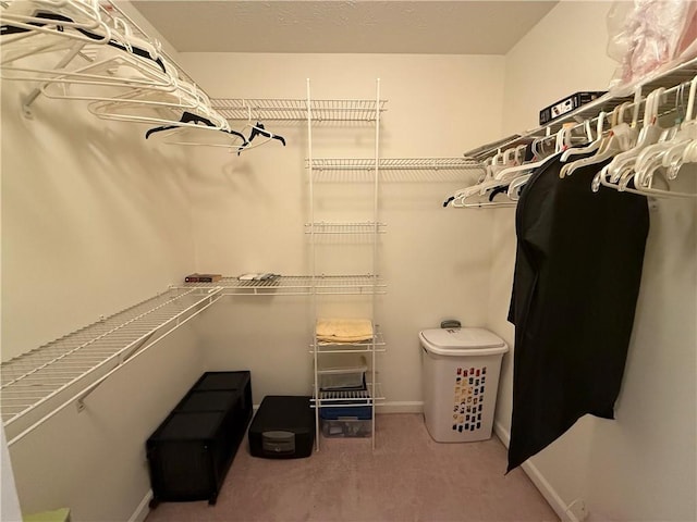 spacious closet with carpet