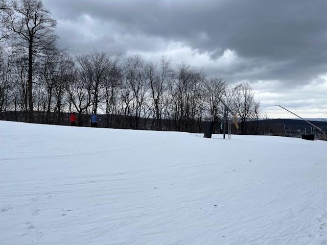 view of snowy yard