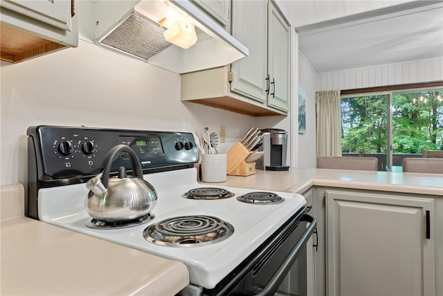 kitchen featuring exhaust hood and electric stove