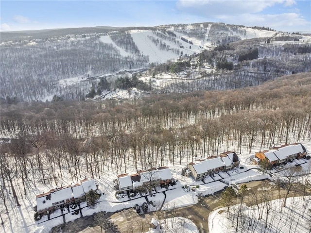 snowy aerial view with a mountain view