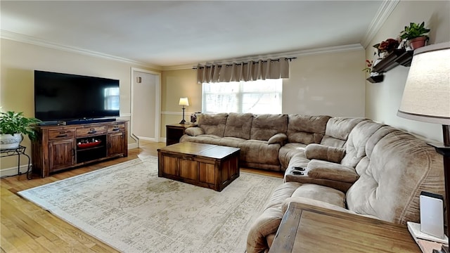 living room with ornamental molding and light hardwood / wood-style floors