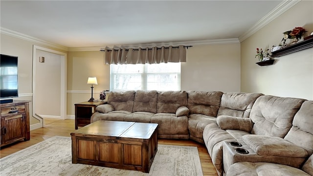 living room featuring ornamental molding and light hardwood / wood-style flooring