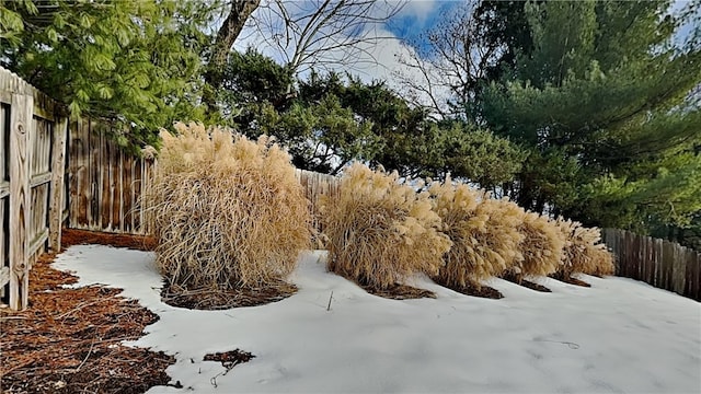 view of yard covered in snow