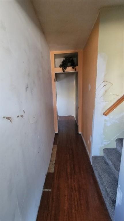 hallway with dark hardwood / wood-style floors