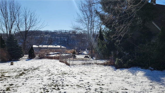 view of yard layered in snow