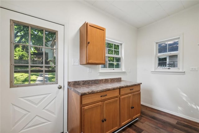 kitchen featuring dark wood-type flooring