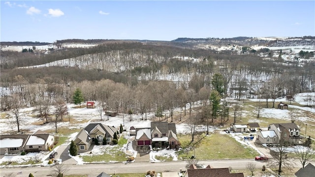 view of snowy aerial view