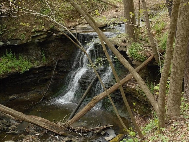 view of local wilderness